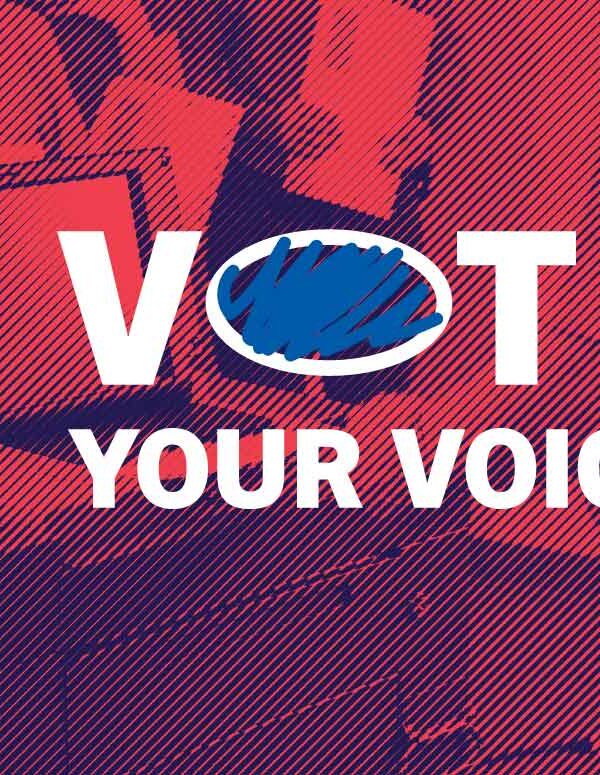 Vote Your Voice header