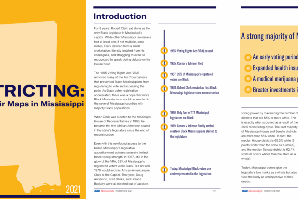 Redistricting report carousel