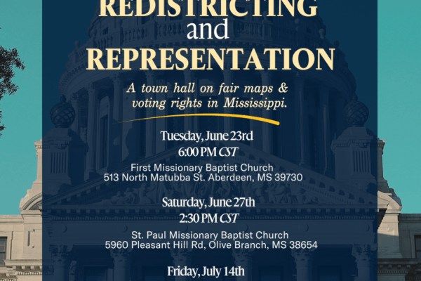 Redistricting and Representation
