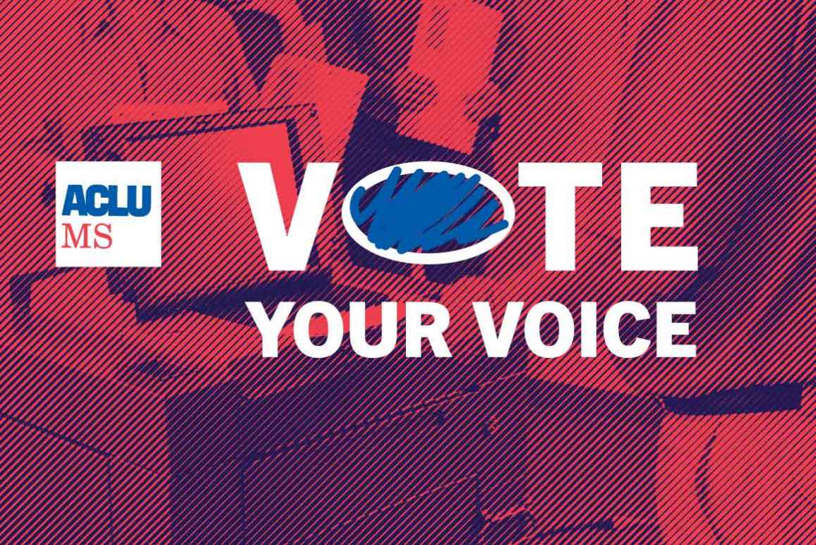 Vote Your Voice header