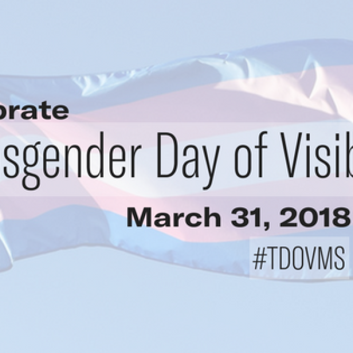 Transgender Day of Visibility web banner