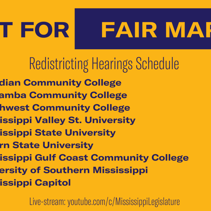 Redistricting Hearings