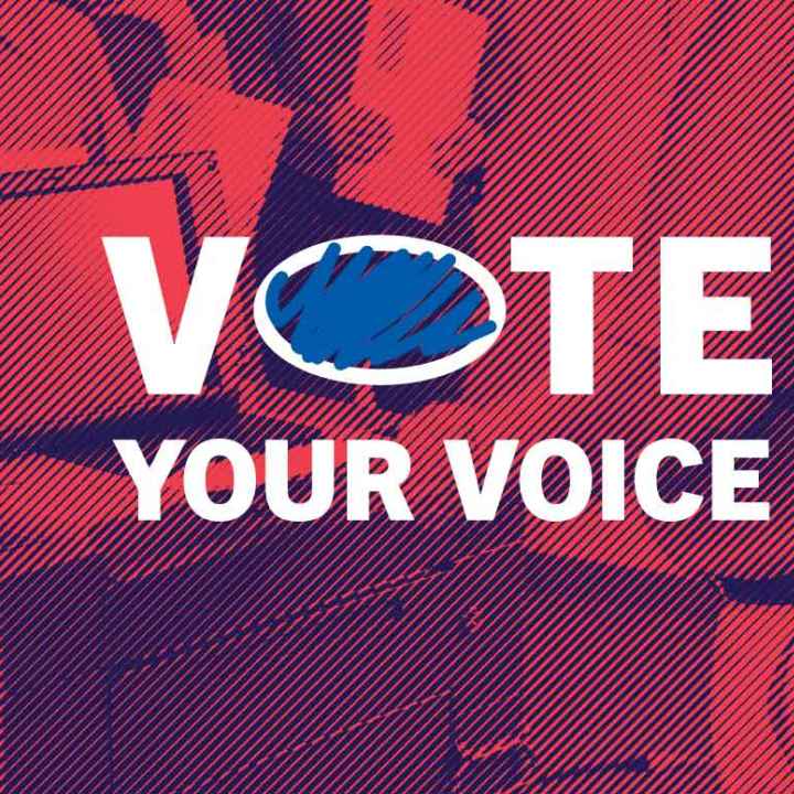 Vote Your Voice header